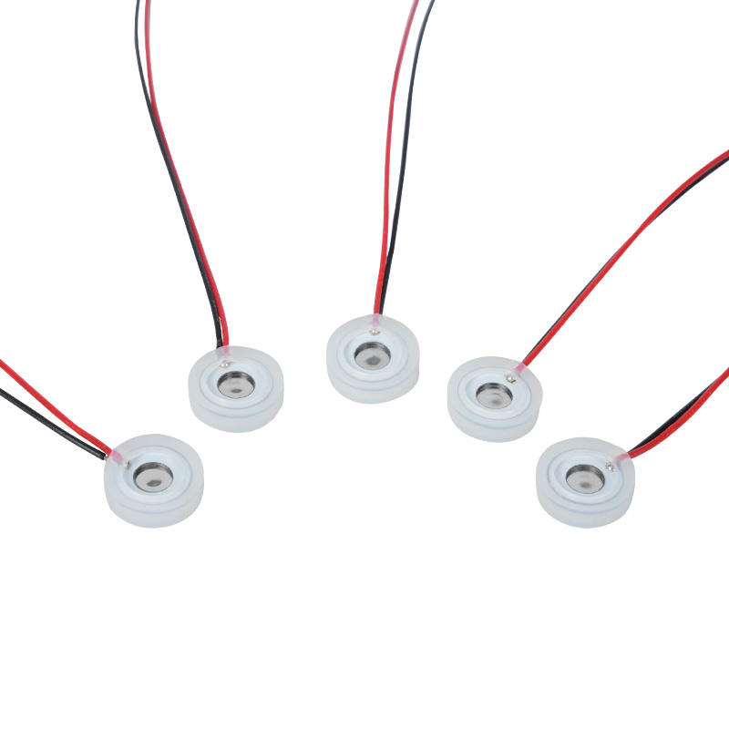 Nebulizer Micrea-mogalra Micrea-Bheagla 10mm Píosaí Níochán Sróine Taise Súl Sprae Ionstraim Ola Riachtanach Cumartheiripe Micri-Shaped Beaga Dífhabhtú Nebulizer Nebulizer Speisialta, Cumhacht Poill Sprae Mogall Beaga Micrea-mhogall Píosa Cró Ráta Réaltnéalaithe Inchoigeartaithe Cáithníní Inchoigeartaithe