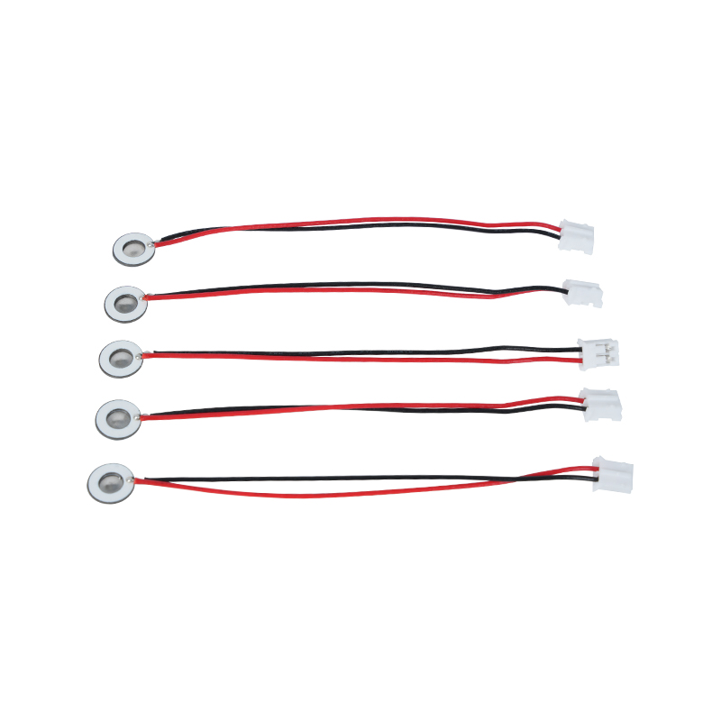 Táirgí Miniaturized Φ8mm Mogall Leighis In-análaithe Tráidire Miste Méid Beag Adamhaigh Humidification Le Tráidire Misting Tráidire Ceocháin Scented