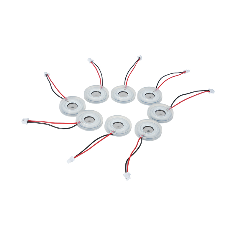 Φ16mm Pláta Ceo Microporous Piezoelectric Ceirmeacha Móra Ceo Téitheoir Toirt Ceo Pláta Diffuser Sprae Poll Pláta Mogalra Pláta Ceo